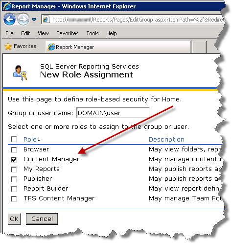 SQL Server Reporting Services - New Role Assignment