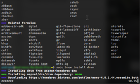 Installation von .NET Core via Homebrew